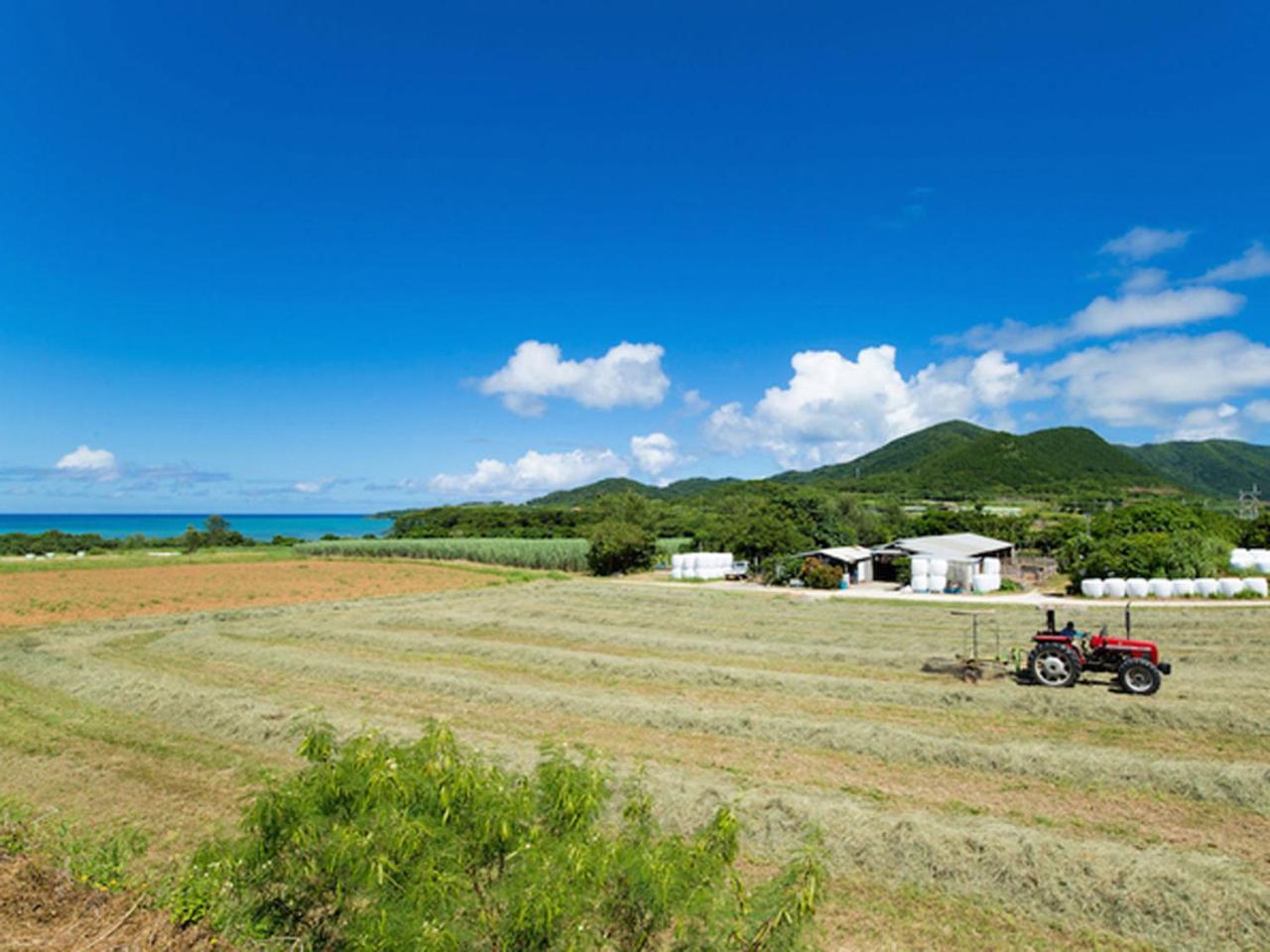 Sun Green Resort Hotel Ishigaki Ishigaki  Eksteriør billede